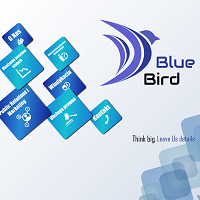 Studio Projektowe Blue Bird - To nowoczesny marketing, specjalizujemy się w działaniach outsourcingowych w obszarze Internetu i Telekomunikacji , strategiach promocji wizerunku oraz marki firmy.