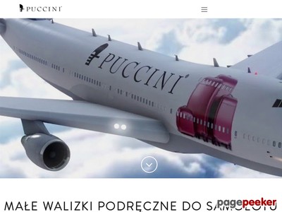 Małe walizki podręczne na kółkach marki Puccini wykonane są z wysokiej jakości, trwałych materiałów termoplastycznych, dzięki czemu są odporne na wszelkie uszkodzenia mechaniczne i wgniecenia.  Bagaże podróżne wyposażone są w kauczukowe kółka, które osadzone są na łożyskach i obracają się o 360 st. (dostępne są walizki z dwoma lub czterema obrotowymi kółkami), które gwarantują komfort ich transportu po każdej powierzchni. 
Bagaże podręczne Puccini są niezwykle lekkie i pojemne, mają świetnie zaprojektowane wnętrze, wyposażone w dodatkowe kieszenie, przegrody czy szelki. Wszystkie walizki posiadają wygodną wysuwaną rączkę i miękkie uchwyty. Co ważne – posiadają zabezpieczenie TSA, dzięki któremu służby celne mogą otworzyć walizkę specjalnym kluczem i sprawdzić jej zawartość bez konieczności użycia nożyc i uszkodzenia zamka. 
Bagaże podróżne i walizki podręczne można zabrać ze sobą na pokład samolotu – ich wymiary odpowiadają wymaganiom większości linii lotniczych.